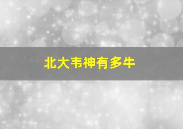 北大韦神有多牛