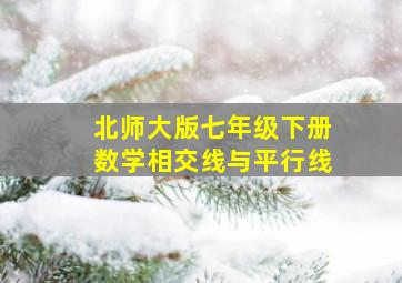 北师大版七年级下册数学相交线与平行线