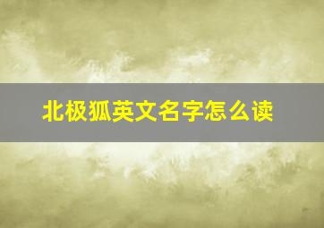 北极狐英文名字怎么读