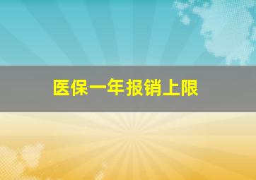 医保一年报销上限