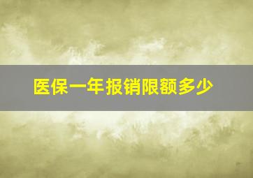 医保一年报销限额多少