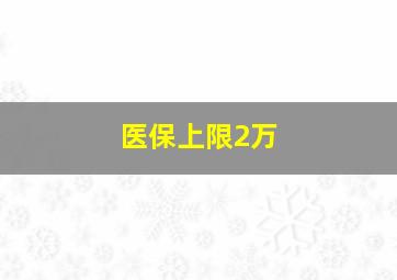 医保上限2万