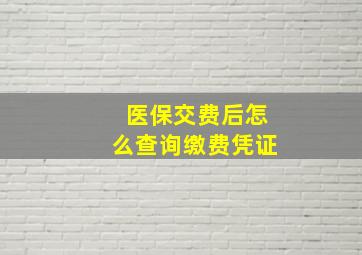 医保交费后怎么查询缴费凭证