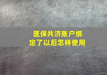 医保共济账户绑定了以后怎样使用