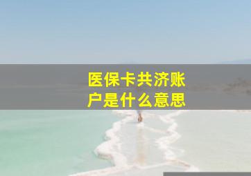 医保卡共济账户是什么意思