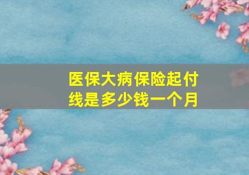 医保大病保险起付线是多少钱一个月