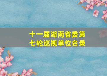 十一届湖南省委第七轮巡视单位名录