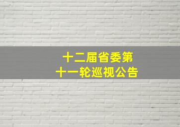 十二届省委第十一轮巡视公告