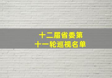 十二届省委第十一轮巡视名单