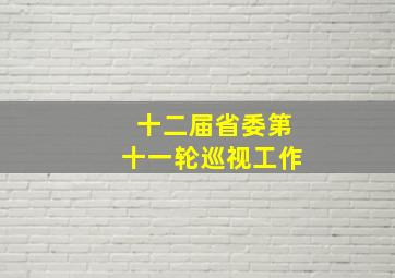 十二届省委第十一轮巡视工作