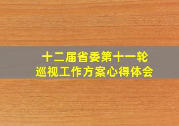 十二届省委第十一轮巡视工作方案心得体会