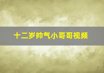 十二岁帅气小哥哥视频