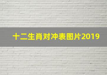 十二生肖对冲表图片2019