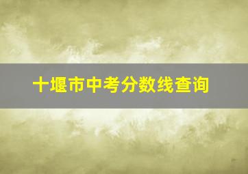 十堰市中考分数线查询