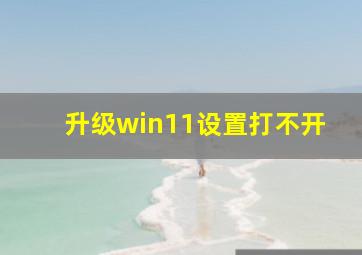 升级win11设置打不开