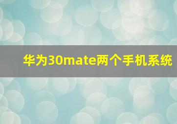 华为30mate两个手机系统