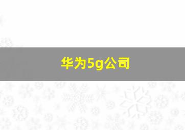 华为5g公司