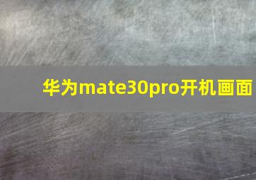 华为mate30pro开机画面