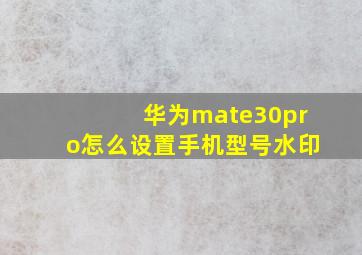 华为mate30pro怎么设置手机型号水印