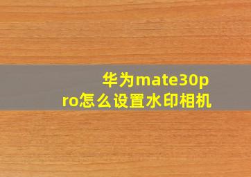 华为mate30pro怎么设置水印相机