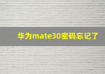 华为mate30密码忘记了