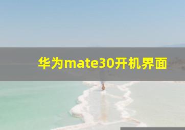 华为mate30开机界面