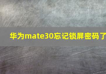 华为mate30忘记锁屏密码了