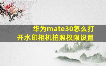 华为mate30怎么打开水印相机拍照权限设置