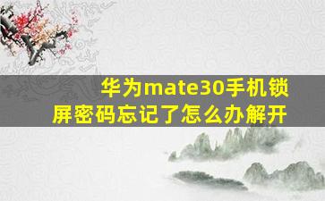 华为mate30手机锁屏密码忘记了怎么办解开