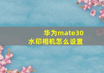 华为mate30水印相机怎么设置