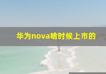 华为nova啥时候上市的