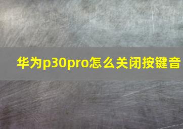 华为p30pro怎么关闭按键音