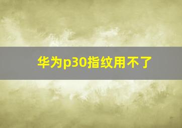 华为p30指纹用不了