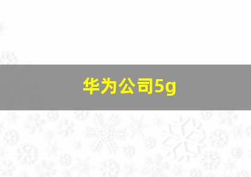 华为公司5g