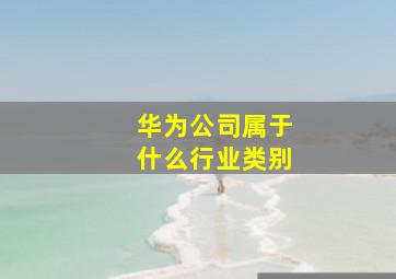 华为公司属于什么行业类别