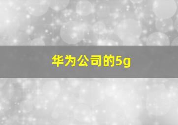 华为公司的5g