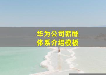 华为公司薪酬体系介绍模板