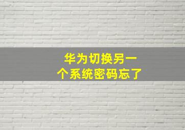 华为切换另一个系统密码忘了