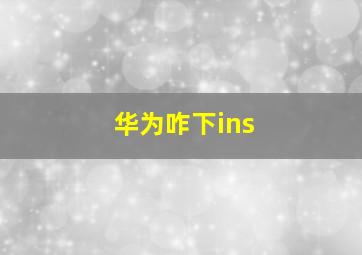 华为咋下ins