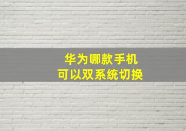 华为哪款手机可以双系统切换