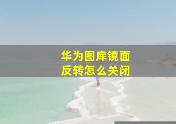 华为图库镜面反转怎么关闭