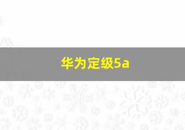 华为定级5a