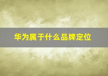 华为属于什么品牌定位