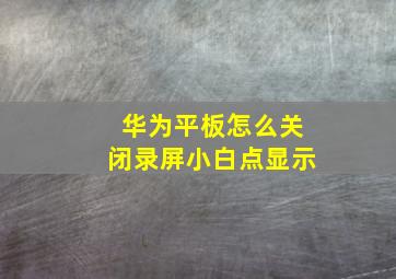 华为平板怎么关闭录屏小白点显示