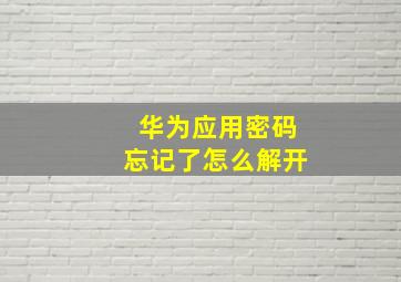 华为应用密码忘记了怎么解开