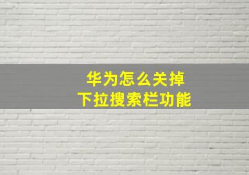 华为怎么关掉下拉搜索栏功能