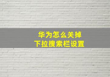 华为怎么关掉下拉搜索栏设置