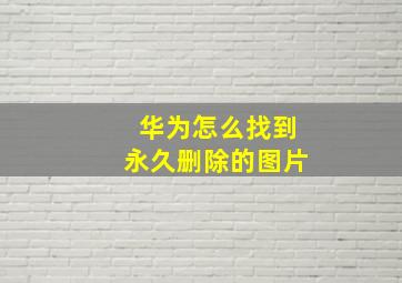 华为怎么找到永久删除的图片