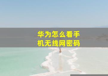 华为怎么看手机无线网密码