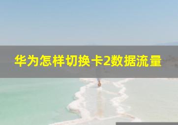 华为怎样切换卡2数据流量